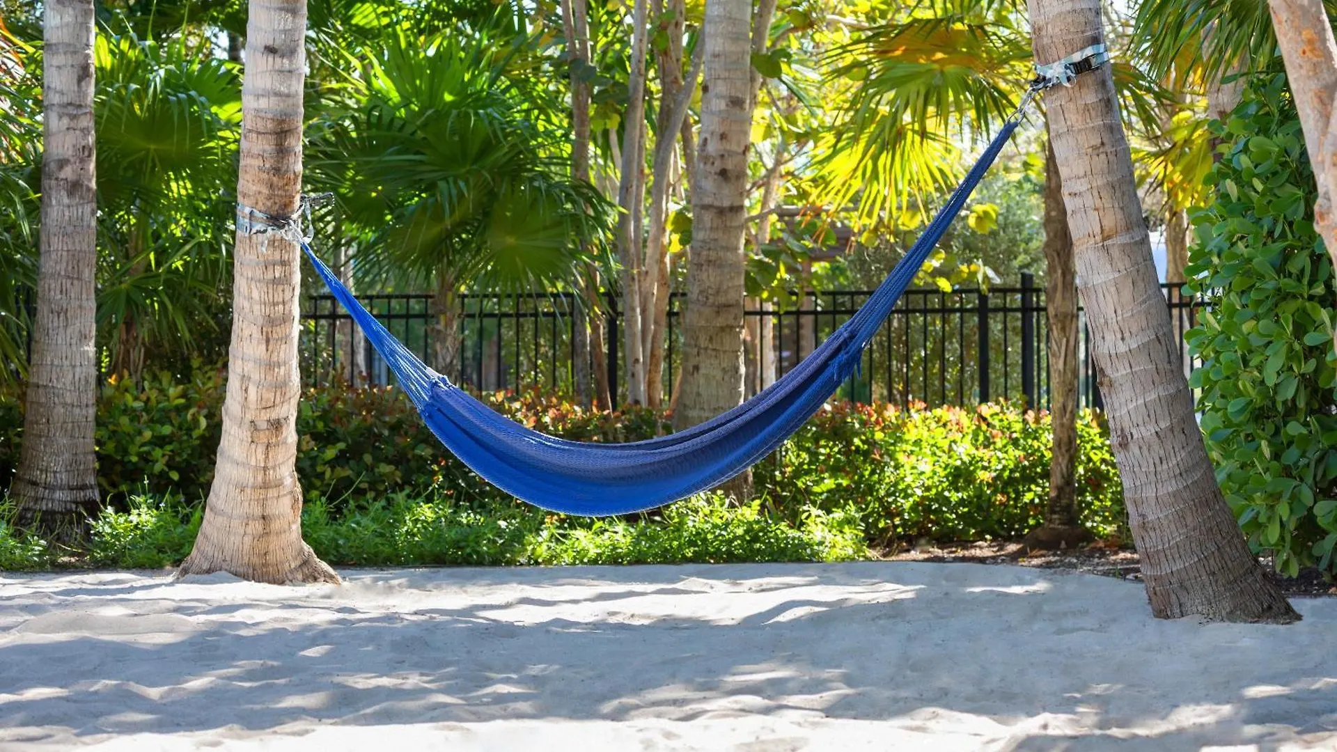 Blue Flamingo Resort Key West Stati Uniti